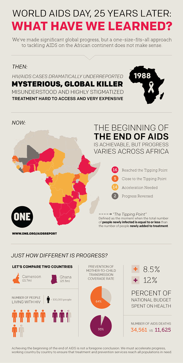 2013 ONE AIDS report Infographic