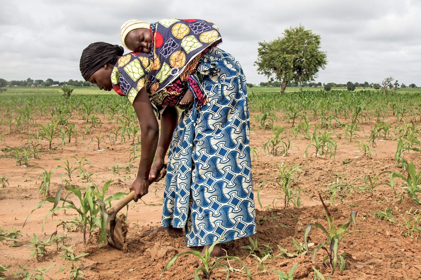 A Hunger Crisis Demands Action In Northeast Nigeria | ONE Africa