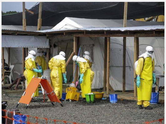 Ebola, 1 an après : quels enseignements et futurs défis?