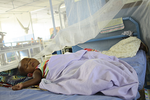 Le paludisme à l’heure de l’épidémie d’Ebola