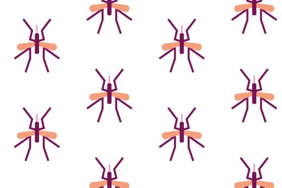 Tout ce qu’il faut savoir sur le paludisme