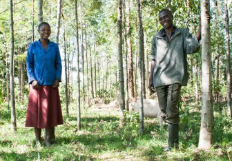 Education in Kenya: One farming family’s determination to send their kids to school