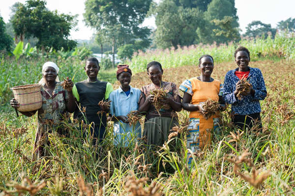 Women farmers in Africa: the real challenges they face