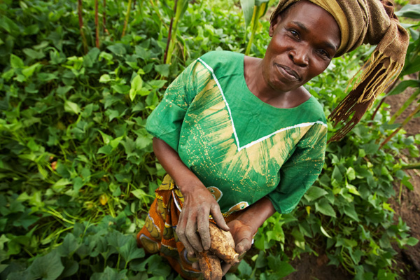International Women’s Day: The secret of 3 female farmers’ success