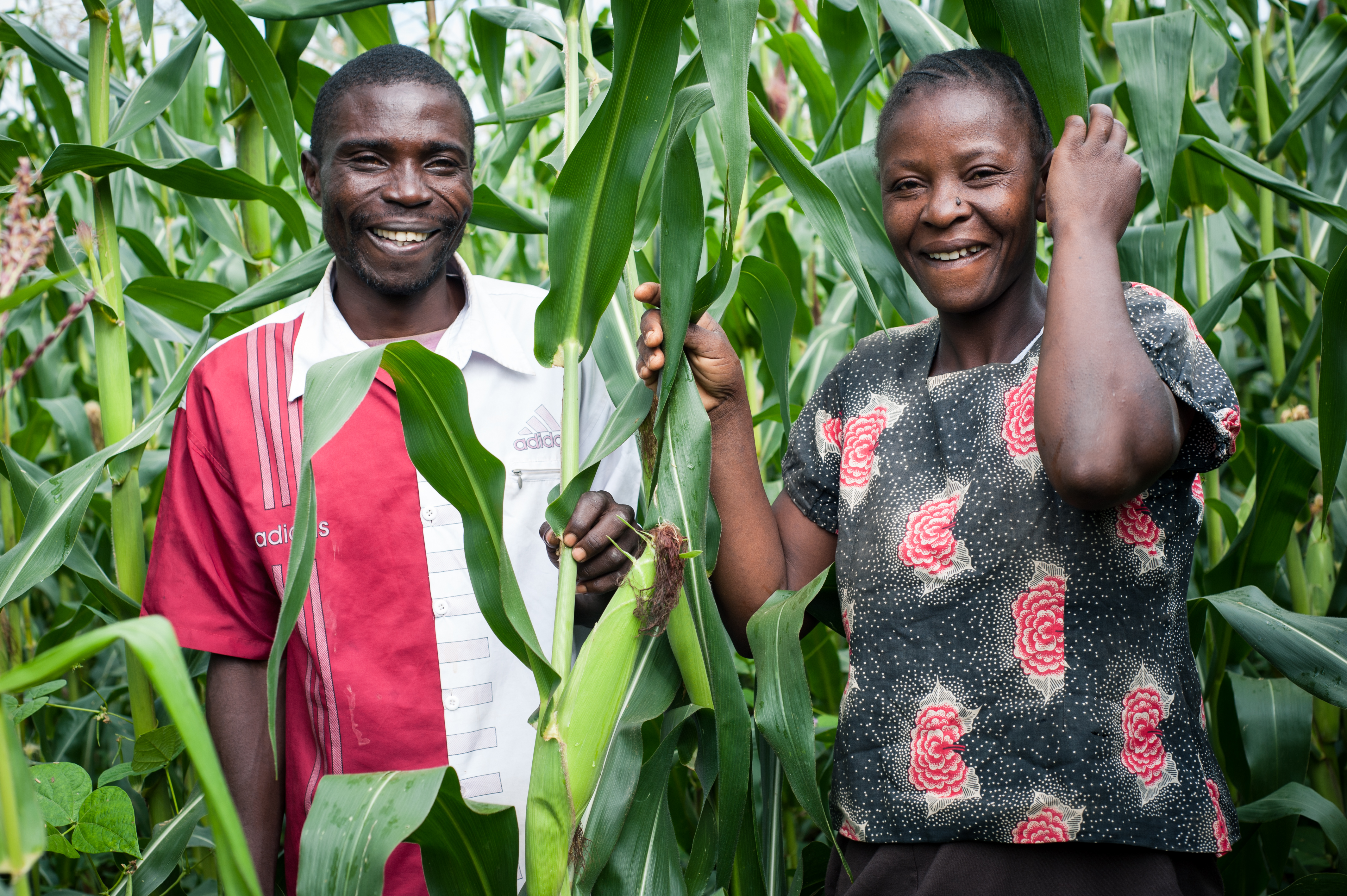 The hunger season hits Kenya as David & Zipporah wait for their harvest