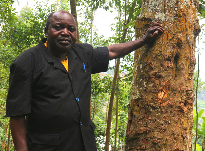 Abel: Protecting the forests of DRC, one tree at a time