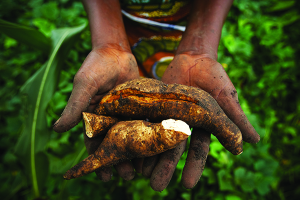 World Food Day: Prioritising agriculture, food security, and nutrition to fight hunger