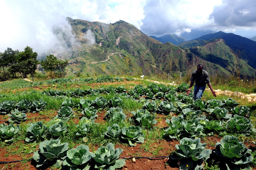 Farmers receiving agricultural training in Haiti Copyright: public-domain-image.com
