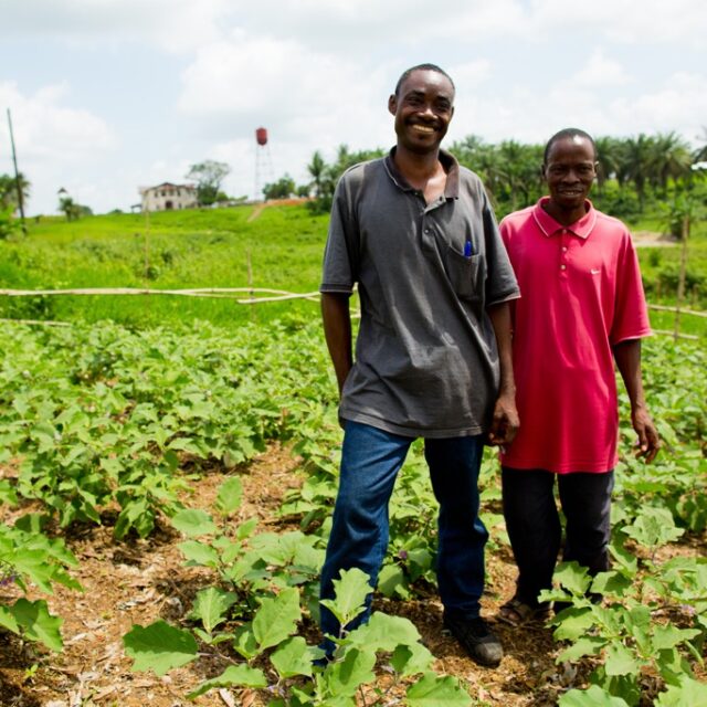 Male farmers are up to 3 times more productive than female farmers