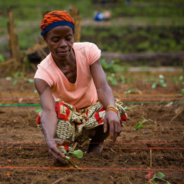 YES! Malian women make progress in fight for land rights