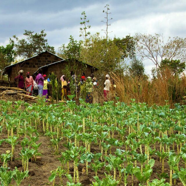 Women farmers are sharing their way to success in Kenya