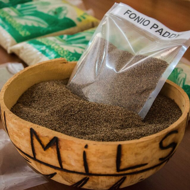 Look out superfood fans – fonio is the new quinoa