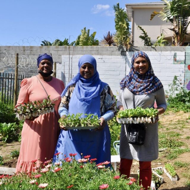Meet the organizations tackling Cape Town’s food insecurity and food waste