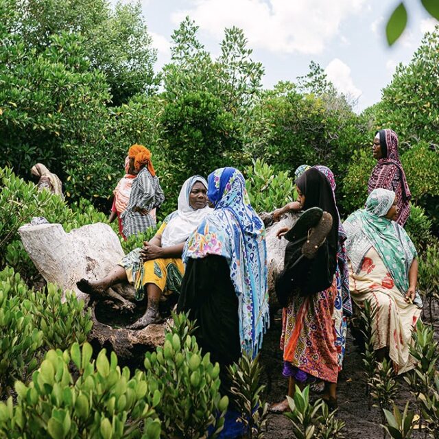 This community in Tanzania is planting 1,000 trees every week 