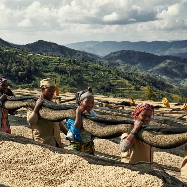Coffee Talk mit der Kaffee-Kooperative: Starke Frauen, starker Kaffee