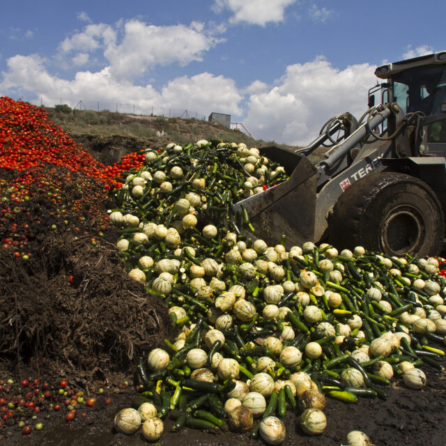 Gaspillage alimentaire : un problème global