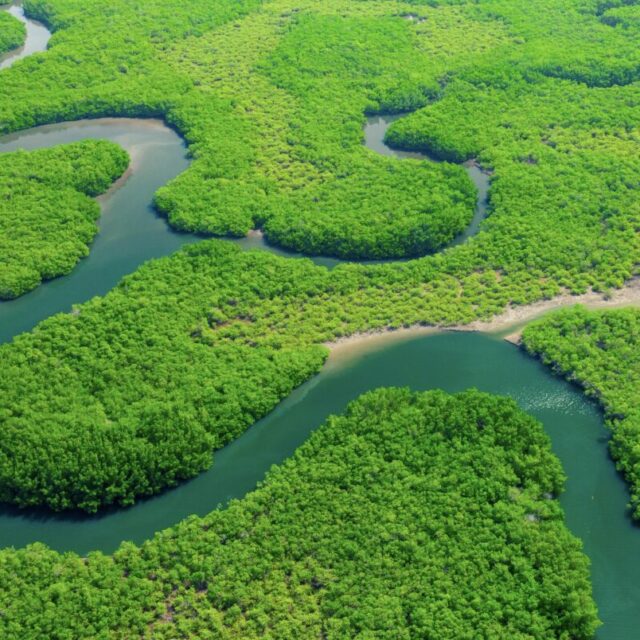 4 idées reçues sur le changement climatique en Afrique