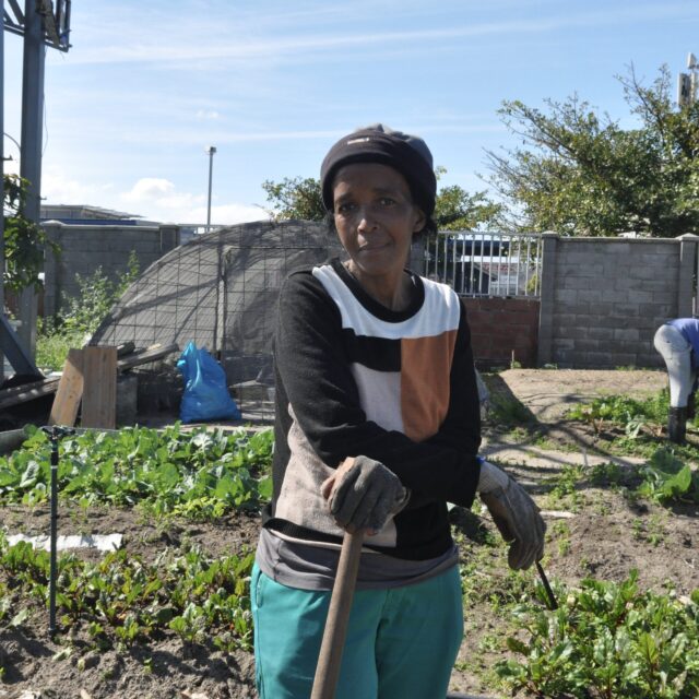 Meet Mama Nomonde, Cape Town’s urban farmer growing food security