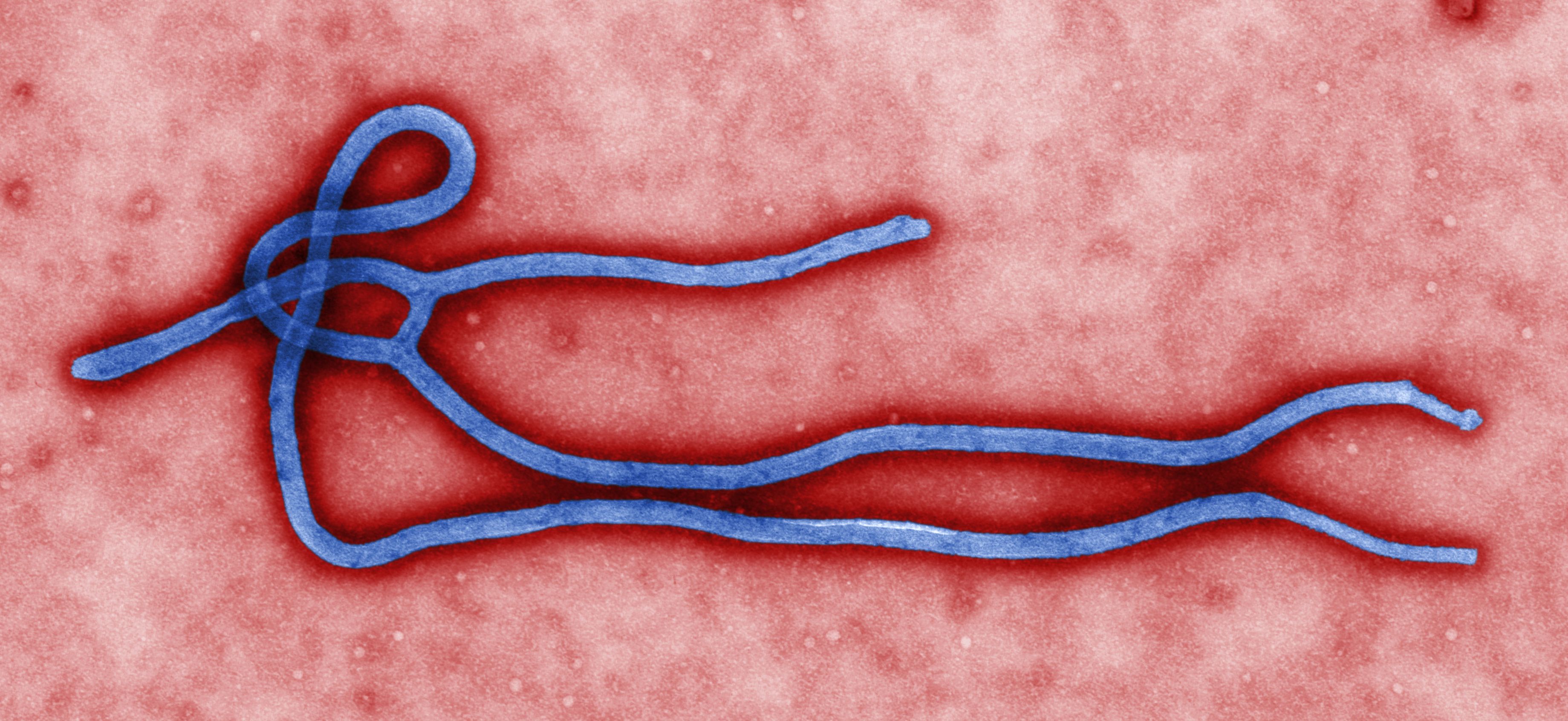 Support these four organizations to help fight Ebola