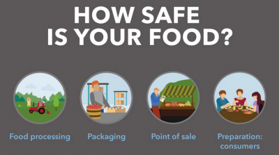 10 *really interesting* facts about food safety