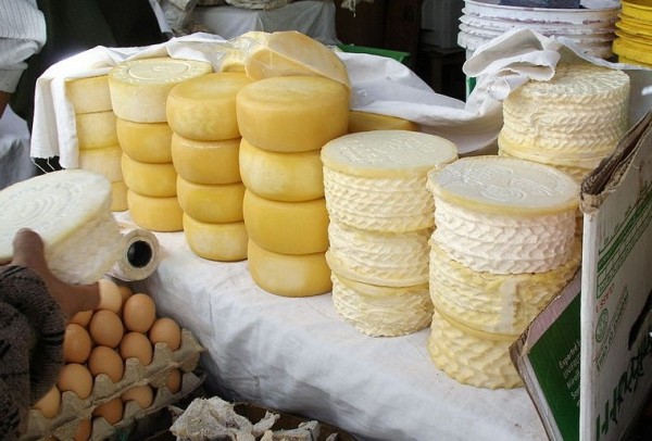 Gouda in the Congo? Gourmet Cheese Is Coming out of a War Zone
