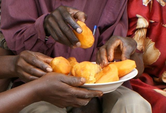 This orange food is fighting malnutrition