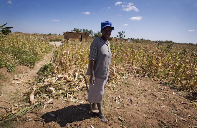 How we can help ensure that a dry season doesn’t lead to a hunger season