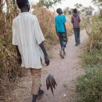 Carrying their day’s catch, Kir Buth, 15, trails Guor Path, 14, and Dictor Arak, 15, on their way back from a swamp near Yida, South Sudan. They will immediately take the fish to market to sell, sharing the money equally. © Andrew McConnell