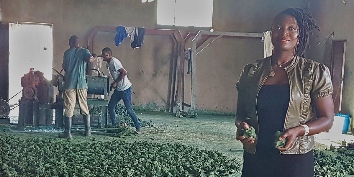 The amazing reason why a Zimbabwe soap business is cleaning up US