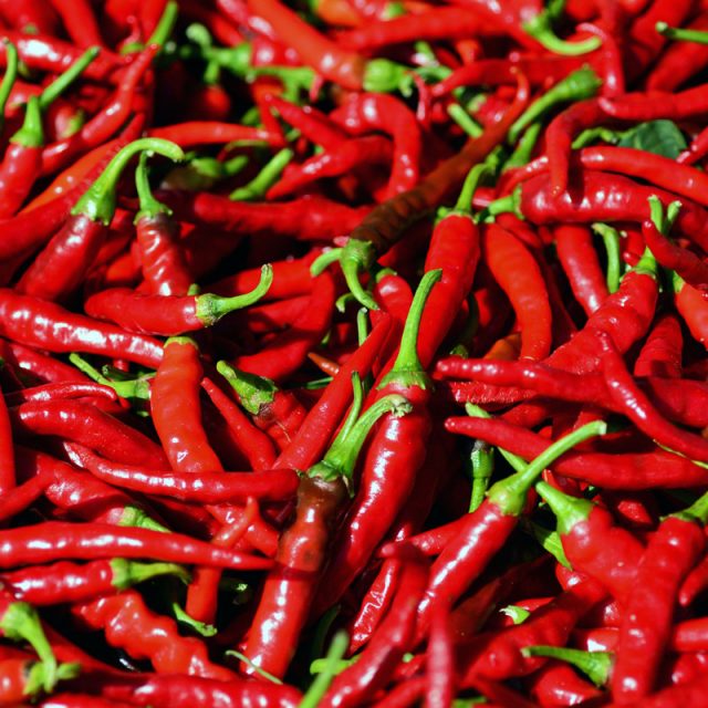 Kenya’s herders fire up a hot new crop: chili peppers